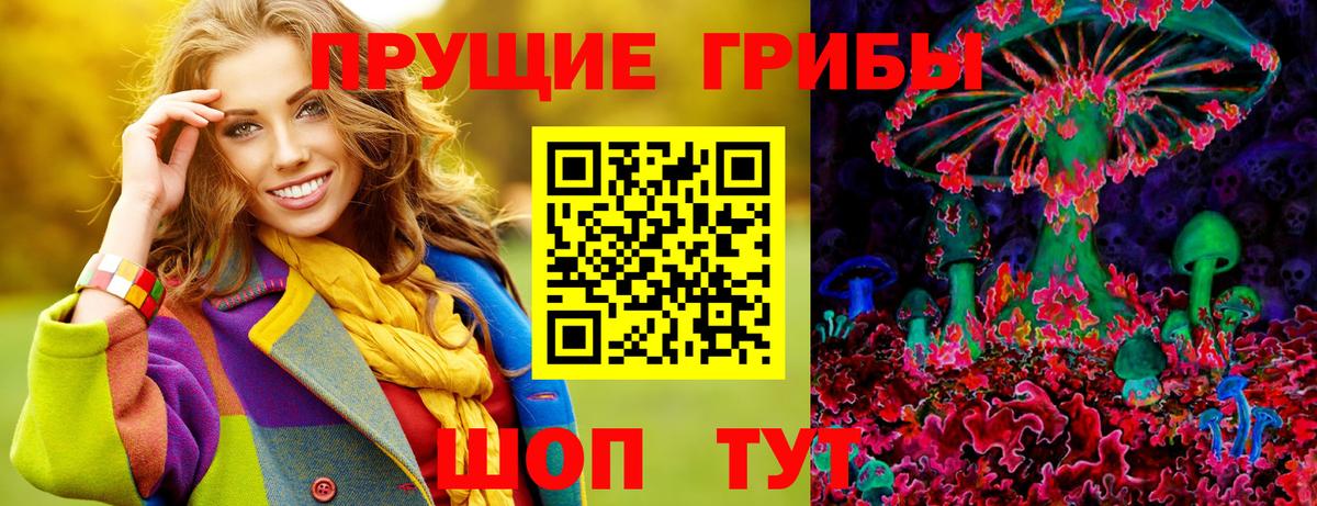 Видное  Галлюциногенные грибы GOLDEN TEACHER  Вход с VPN 